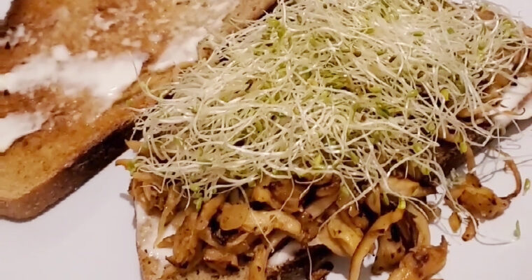 Pulled trumpet mushroom sandwich with alfalfa sprouts
