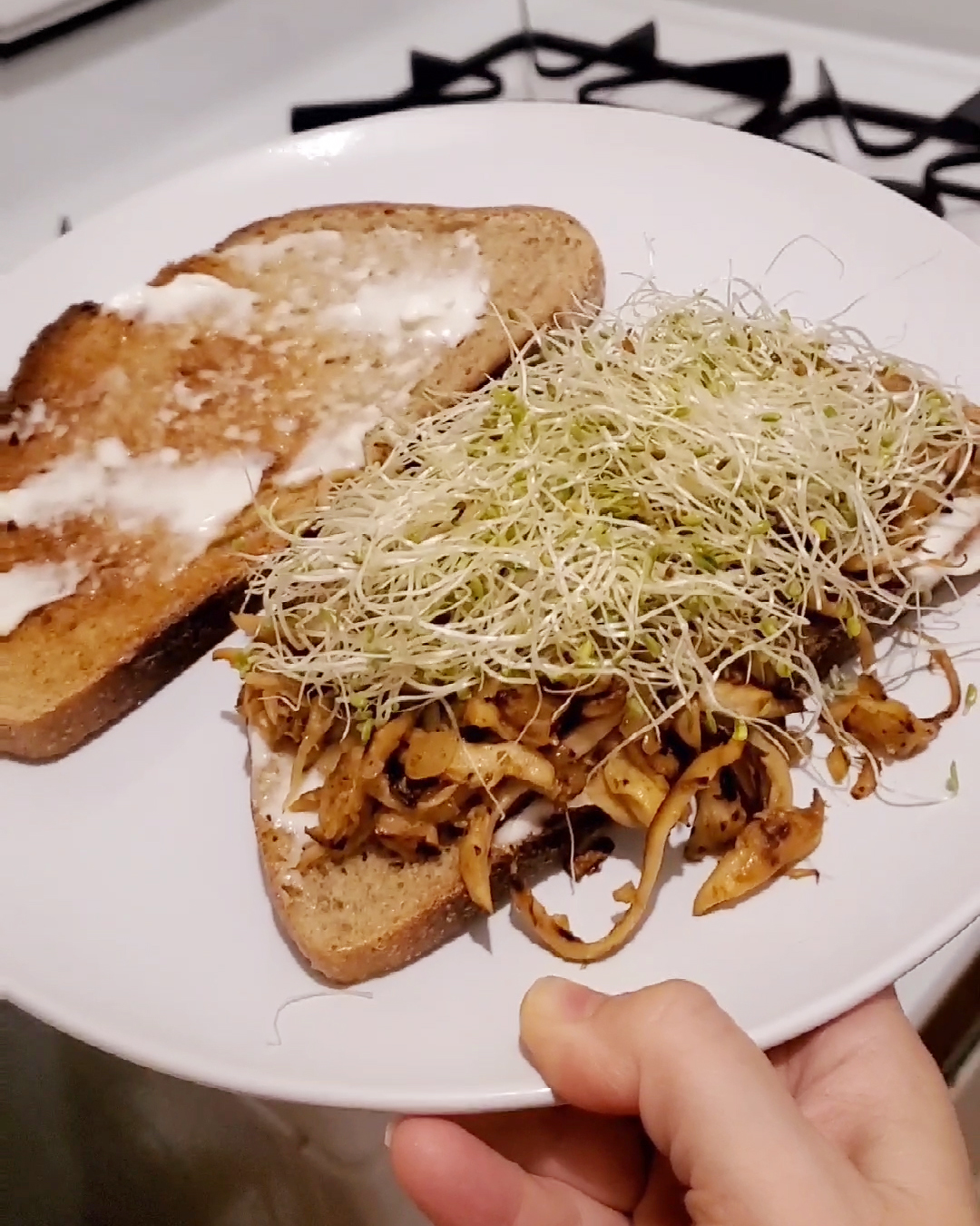 Pulled trumpet mushroom sandwich with alfalfa sprouts